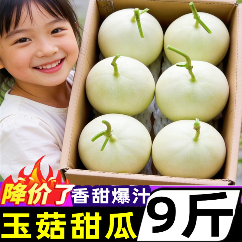 山东冰淇淋玉菇甜瓜9斤新鲜水果应当季香瓜蜜瓜脆甜密瓜整箱包邮