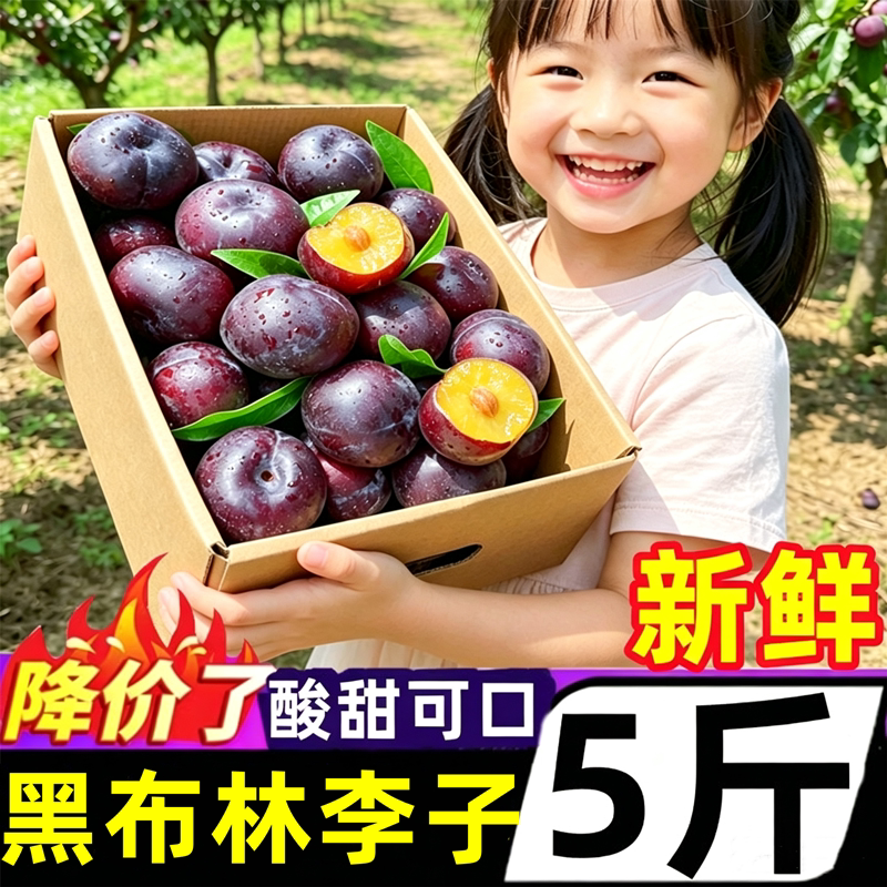 新摘黑布林李子5斤新鲜当季