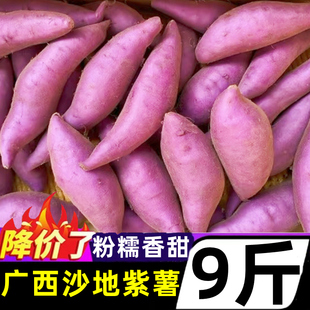 广西沙地紫薯新鲜10斤板栗红薯番薯农家自种当季蔬菜地瓜糖心蜜薯