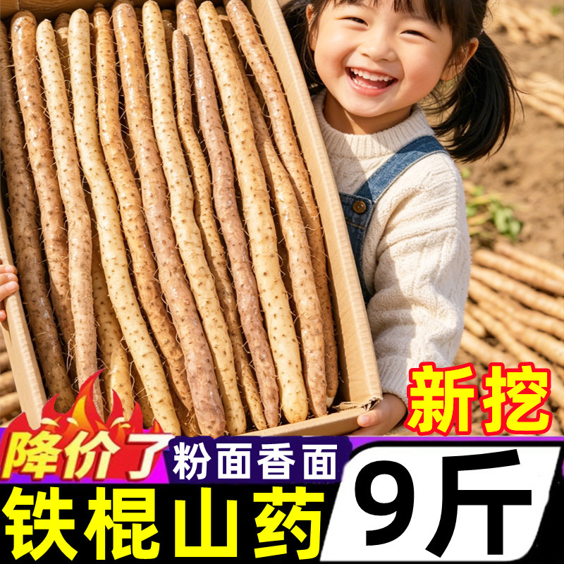 正宗河南垆土铁棍山药9斤新鲜蔬菜铁杆怀山药豆小白嘴淮山药整箱