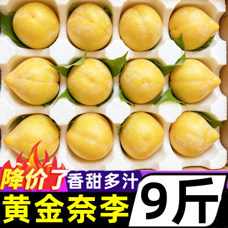 广西黄金奈李新鲜水果