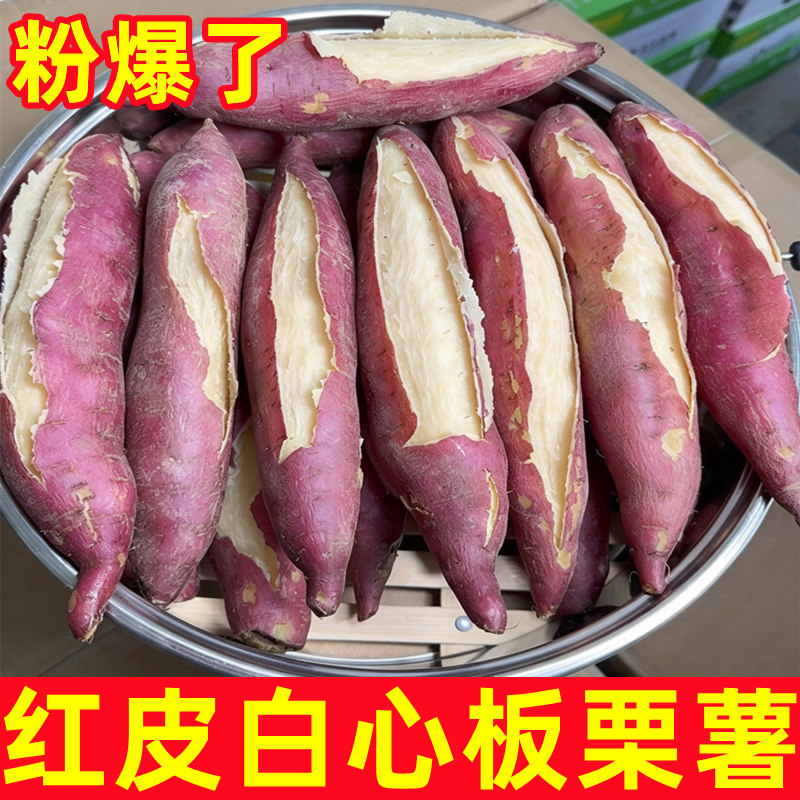 正宗红皮白心板栗薯粉糯
