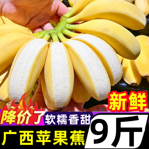 广西苹果蕉香蕉9斤新鲜