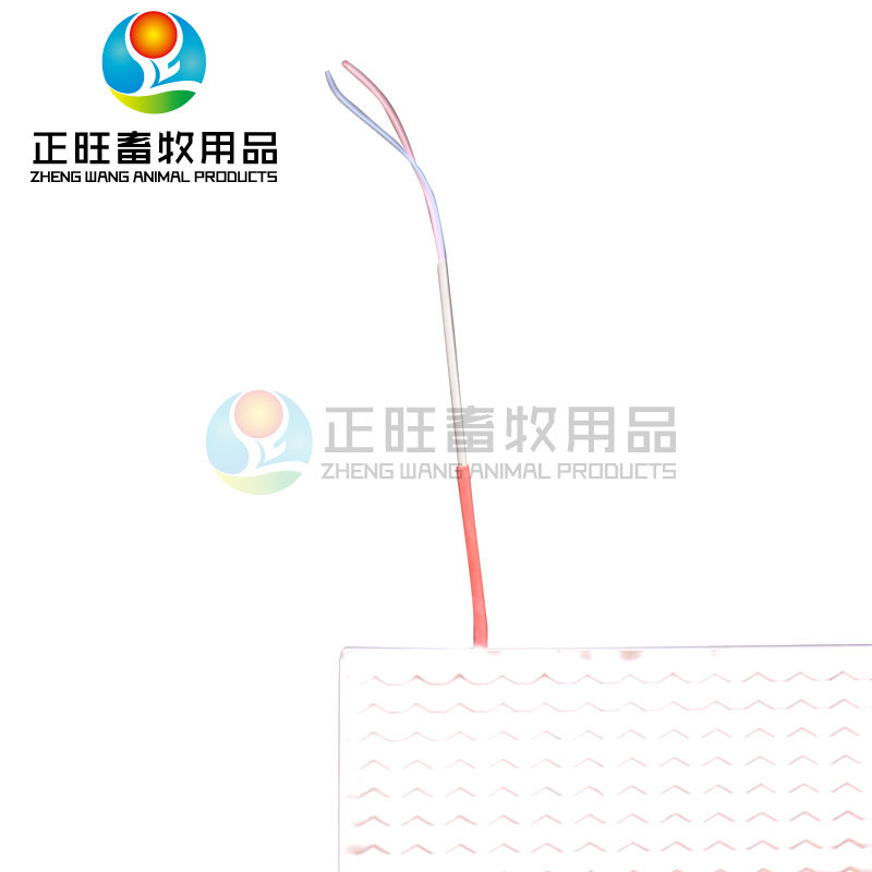 猪用电热板 仔猪电热毯养殖场保温设备猪舍地暖养猪设备 养殖设备,畜牧/养殖物资,畜牧/养殖器械,淘宝优惠券,粉丝福利购,淘宝优惠卷
