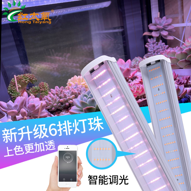 多肉补光灯智能定时仿太阳家用上色全光谱植物生长LED灯绿植热植