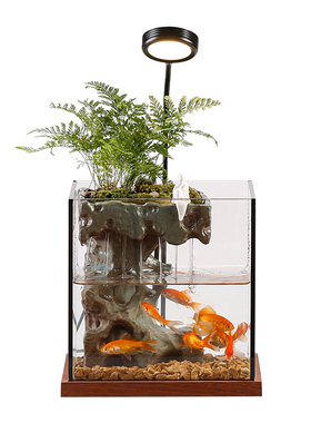 创意小型鱼缸造景真绿植全客厅流水循环水招财办公室装饰品