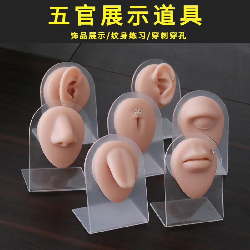 【五官模型七件套带支架】眼睛鼻子嘴巴舌头肚脐耳朵饰品科展示架