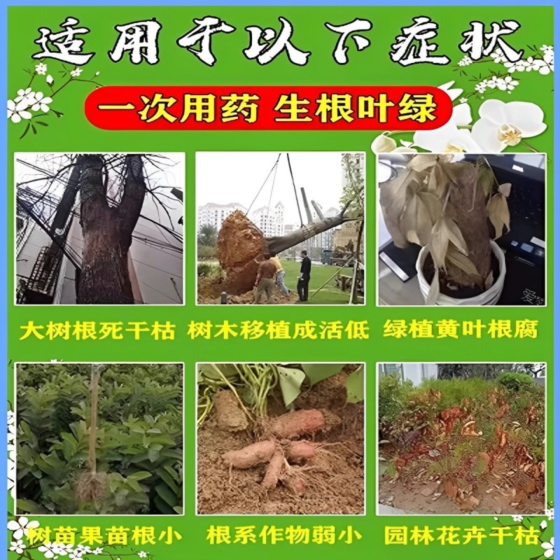 生根药水复活液枯树再生液猛生根原液粉多灵菌营养果树植物复活
