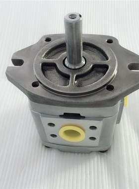 IPH- Nchi油泵不二越IPH-B-1-20齿轮泵IPH-B IPH-5B IPH-B