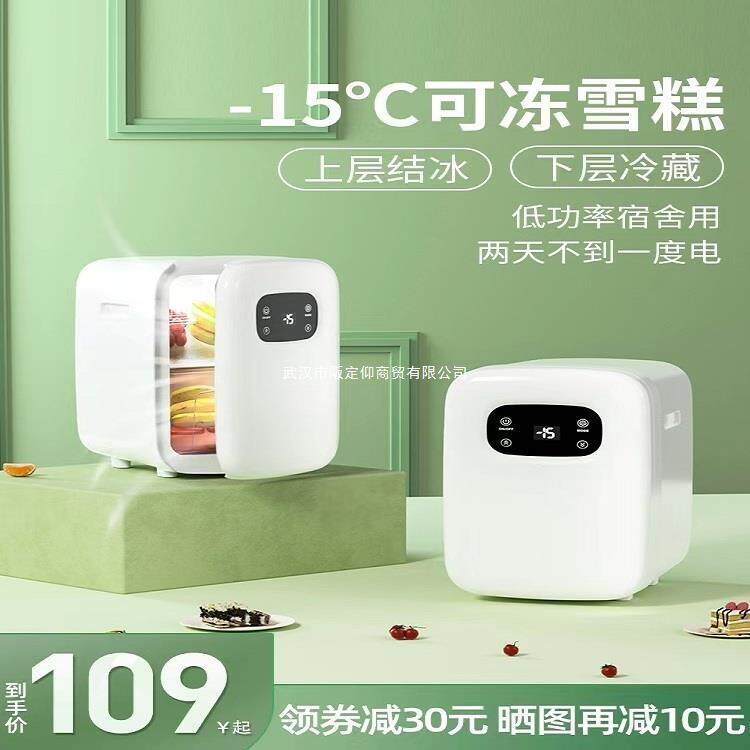 华柯尼迷你小冰箱小型保温箱宿舍制冷保鲜车载冰箱出租房车家两用