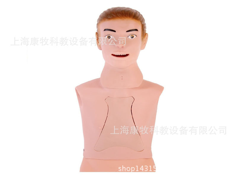 高级鼻饲管与气管护理模型