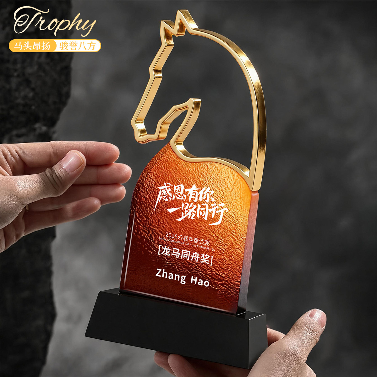 马头造型水晶奖杯金属奖牌定制