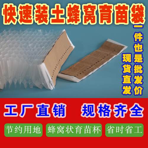 快速装土育苗袋蜂窝育苗袋塑料营养袋容器育苗盘蜂窝育苗杯种植袋