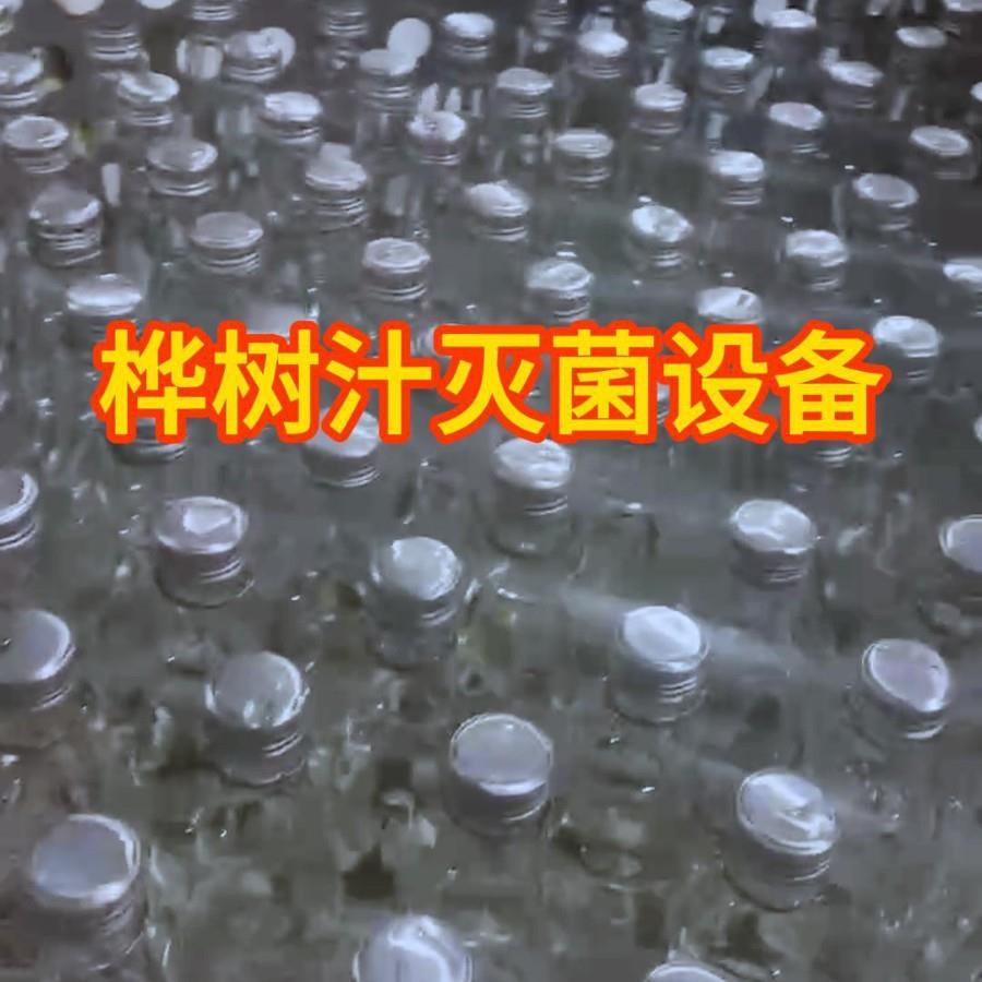 白桦树汁高温杀菌锅玻璃瓶饮料高压灭菌釜设备喷淋杀菌釜厂家