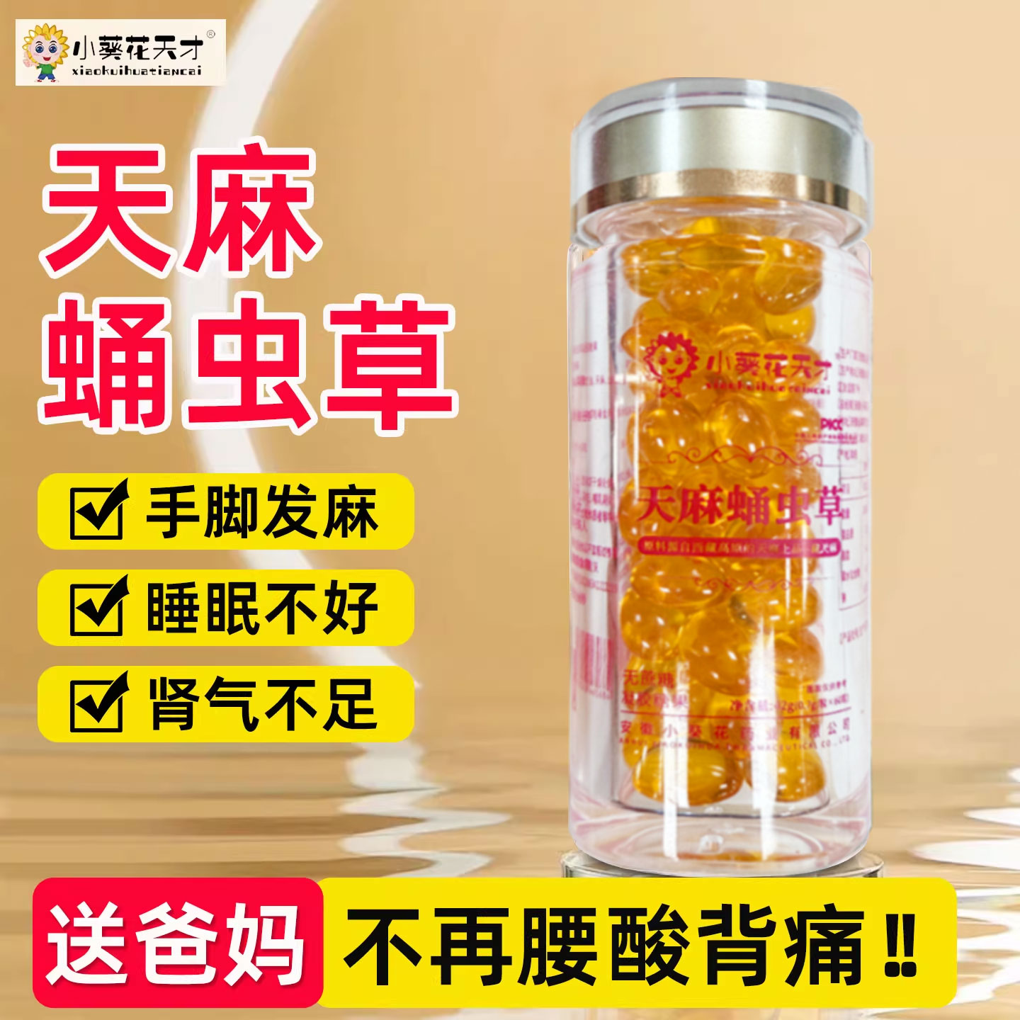 天麻蛹虫草精选浓缩精华保护肠胃