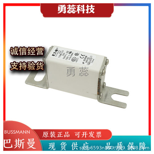 保险丝熔断器170M8544/3688