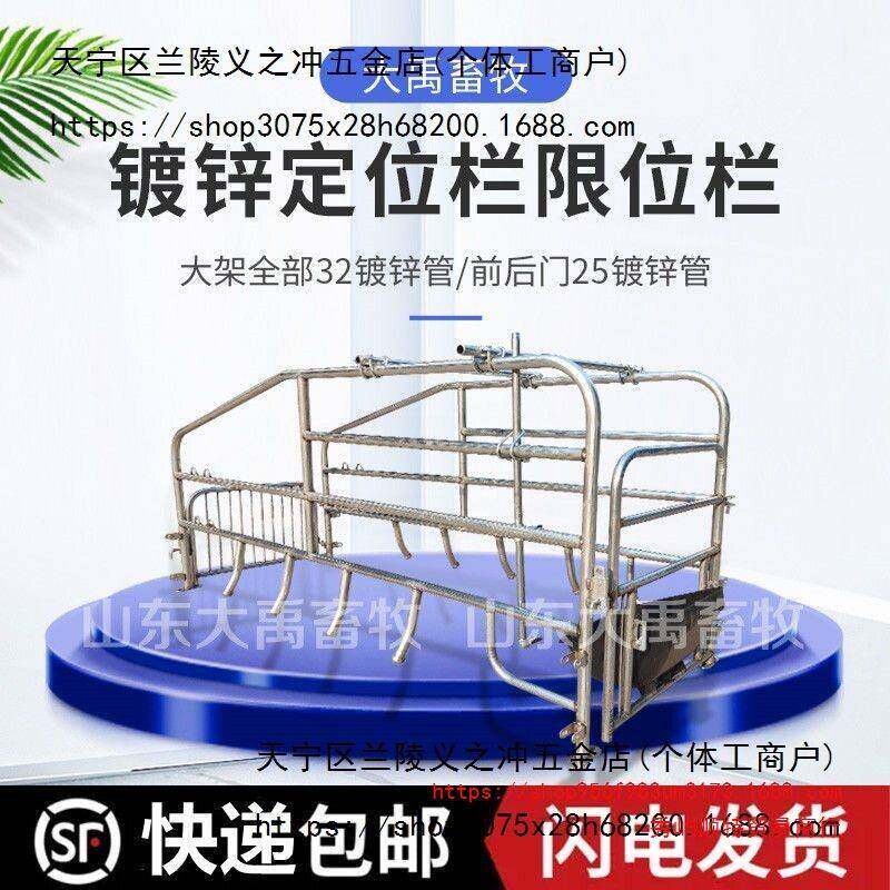 母猪产床 猪产床 仔猪分娩床 猪用双体产床  落地位 简易产床其他