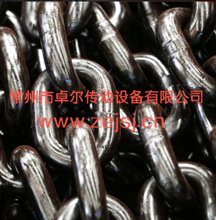 现货 工业传送链条 不锈钢304 单双排 316输送机链条