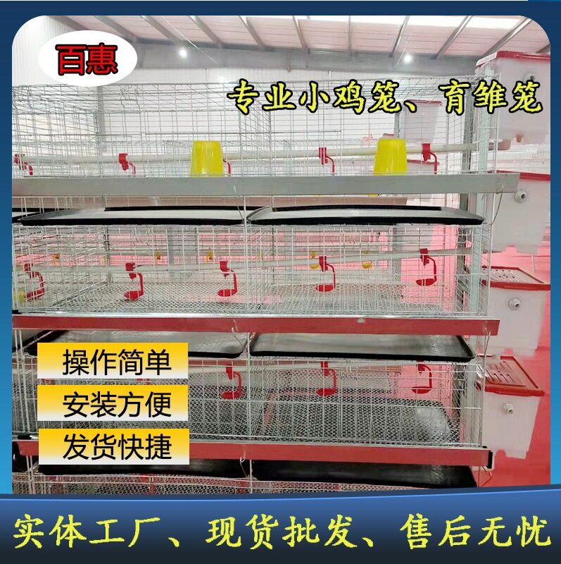 简易四层立体育雏笼小鸡笼畜牧专业养鸡设备镀锌防锈鸡笼子