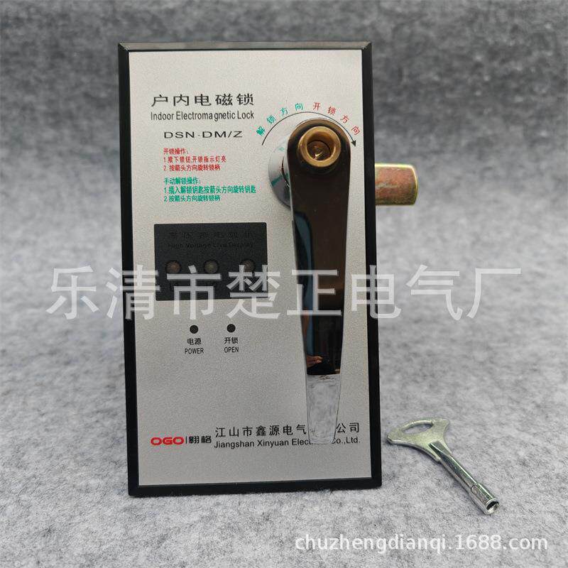 江山鑫源户内高压电磁锁DSN-DMZ左开型高压柜电门锁电控锁