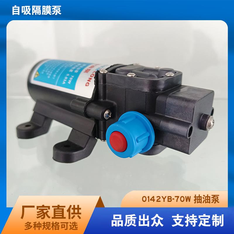 洗铁龙汽油泵抽油器汽车油箱抽油泵 12V70W单油泵自吸隔膜泵