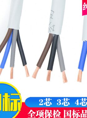 纯铜RVV2芯多股白色护套线电源线4芯3芯国标双芯电缆