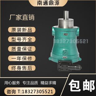 南通 16301640 25Y 6B40源2500轴向柱塞泵 10008鼎