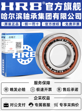 HRB 哈尔滨轴承 7303 7304 7305 7306 7307 AC P5 配对 DB DF DT