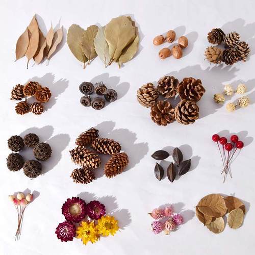 天然干果干花树叶松果橡子橙子片南瓜莲蓬幼儿园环创香薰DIY材料