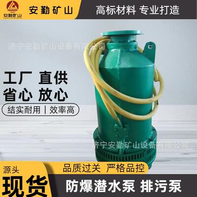 矿用隔爆型潜水排沙电泵 BQS潜水泵高效节能 结构紧凑 效率高