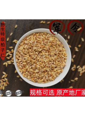 柏子仁中药材正品野生特级官方旗舰店500g泡水茶喝优质柏树籽柏仁