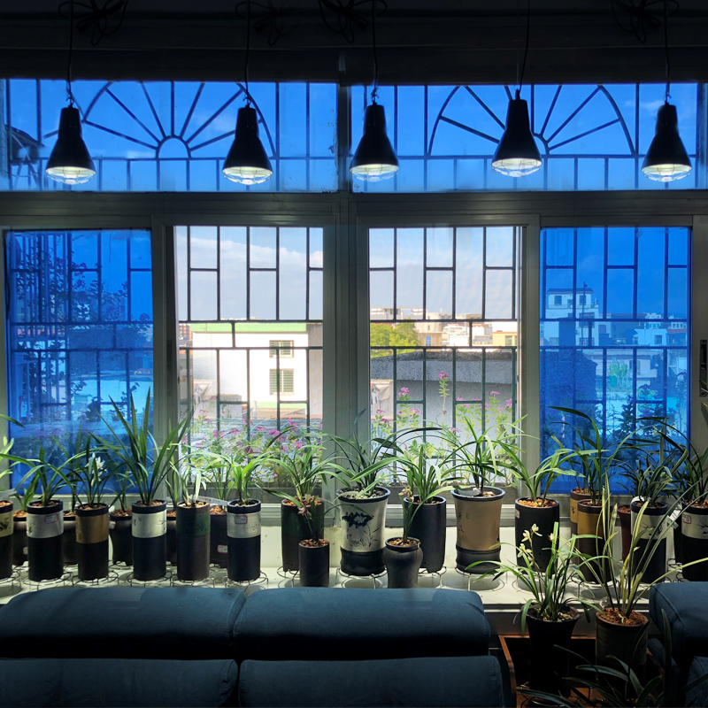 加瑞华金卤灯uvb全光谱多肉补光灯家用室内仿太阳水族植物生长灯