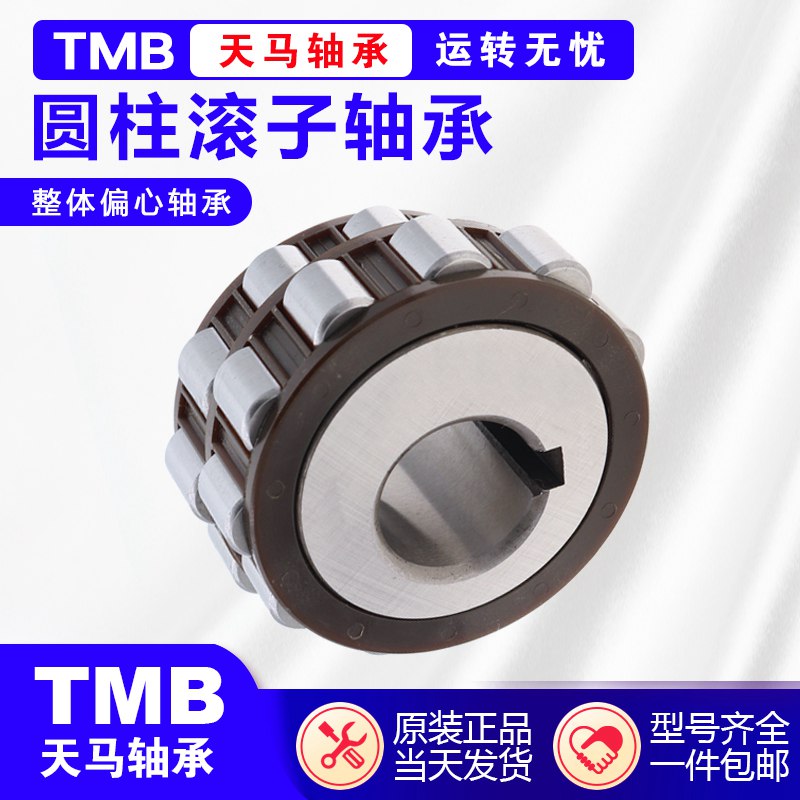 天马圆柱滚子整体偏心套摆线轮减速机轴承RN205  206 307 309 312