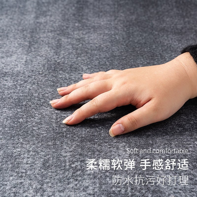 202新款客厅地毯茶几毯卧室地垫房间床边毯沙发免洗大面积全铺