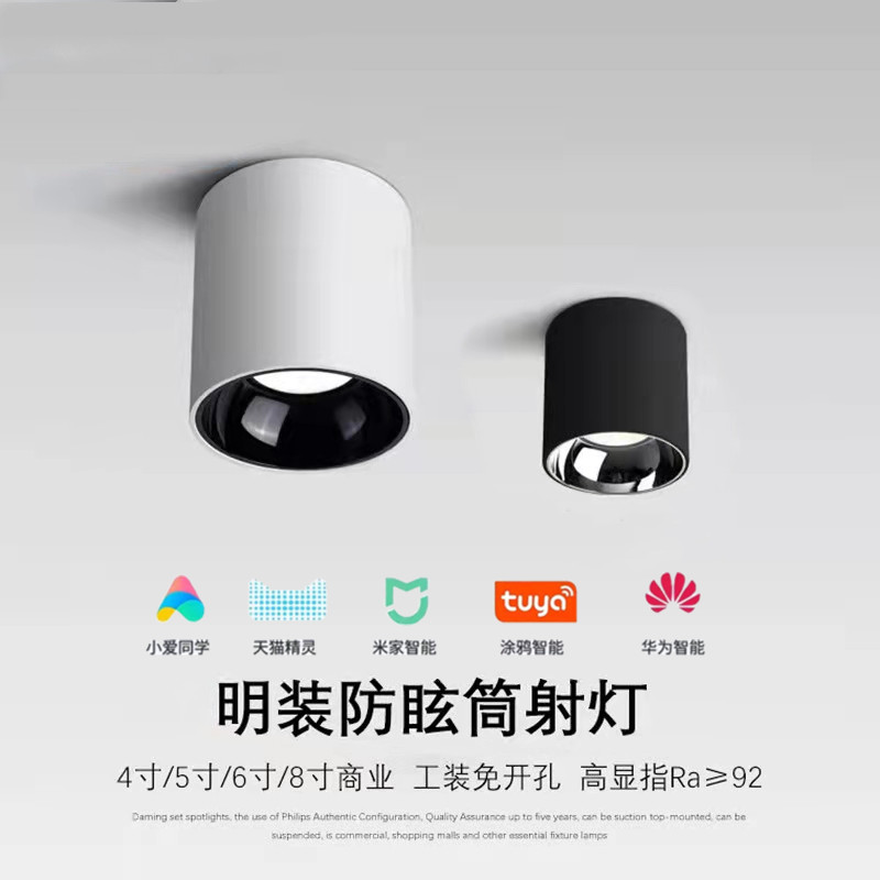 led明装筒灯客厅家用防眩光单个射灯吸顶式卧室过道免孔天花灯