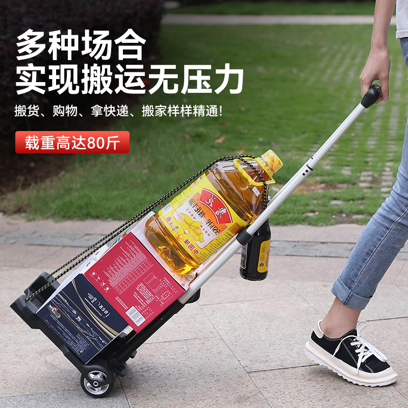 买菜小拉车家用迷你手拉车折叠可携式快递车拉货行李拉杆推车购物
