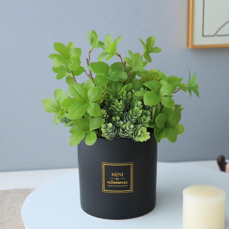 仿真吊钟叶假塑料人造绿植室内外多肉盆景尤加利装饰小,家居饰品,仿真花/假花,淘宝优惠券,粉丝福利购,淘宝优惠卷