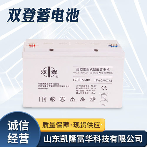 6-GFM-120双登免维护密封