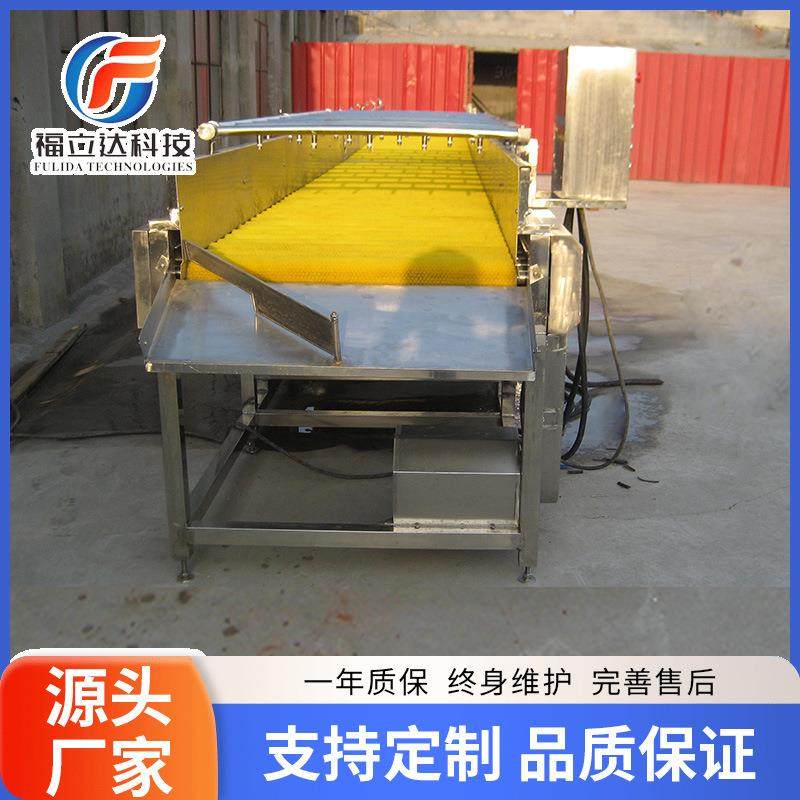 胡萝卜牡蛎扇贝海螺毛刷清洗机去泥去杂平行毛辊清洗机高压喷淋