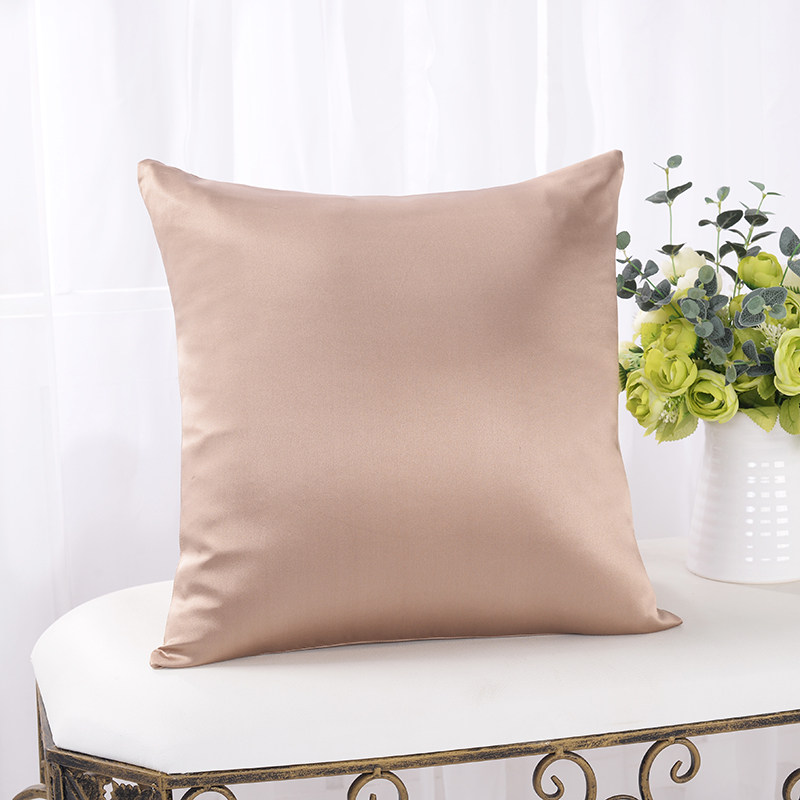 %面真丝靠垫 桑蚕丝抱枕 沙发汽车靠枕 护腰丝绸,居家布艺,靠垫/抱枕,淘宝优惠券,粉丝福利购,淘宝优惠卷