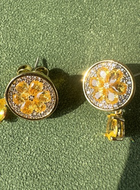 出口欧美品质柠檬耳钉时尚潮流个性耳饰 少量尾货k系列