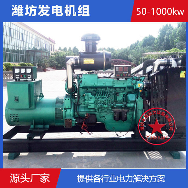 冬季低温养鸡场备用电源潍坊100千瓦发电机组100kw柴油发电机供