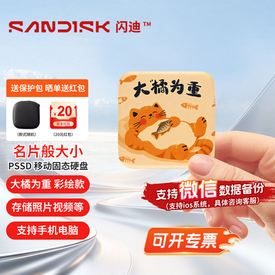 闪迪Type-C直连移动固态硬盘