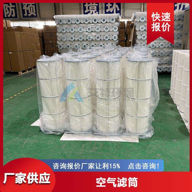 源头工厂 工业除尘过滤器滤筒 过滤筒 粉尘喷涂领域使用