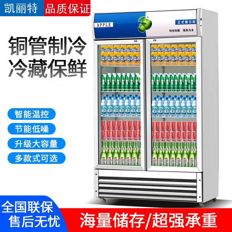 饮料展示柜啤酒柜商用冷藏冰柜双开门冷饮柜单门冷藏立式保鲜柜