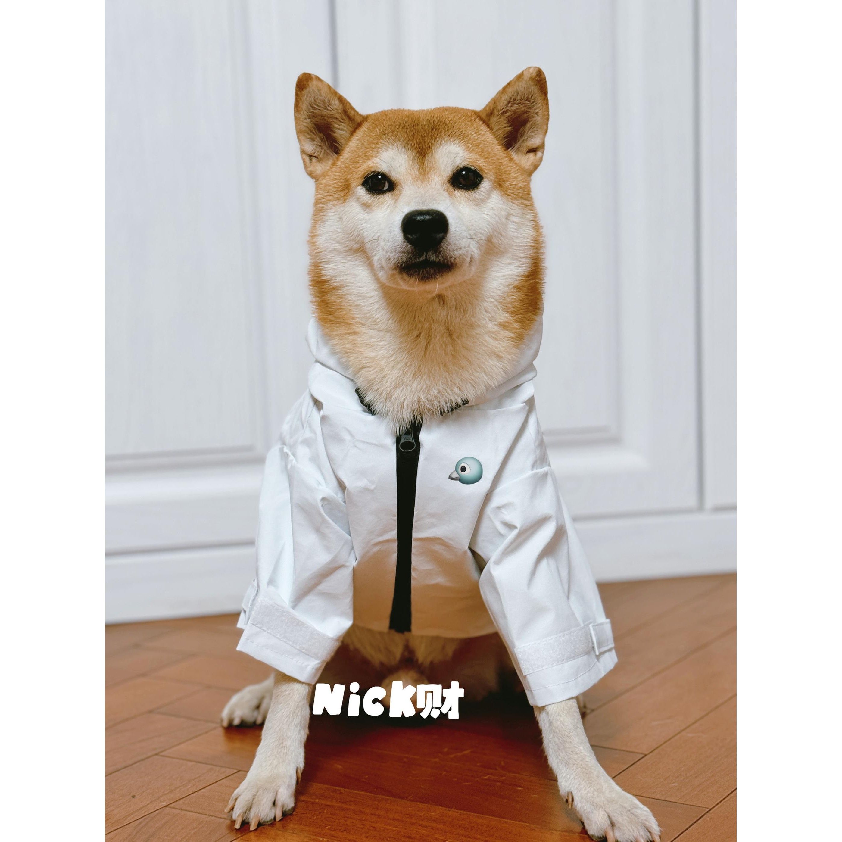 Nick财 宠物潮牌防水防风定制狗狗连帽外套冲锋衣柴犬雨衣中大型