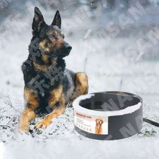 外新款 889塑自料碗热水饮用水器动恒温厂贸家 宠物品加热碗狗狗CC