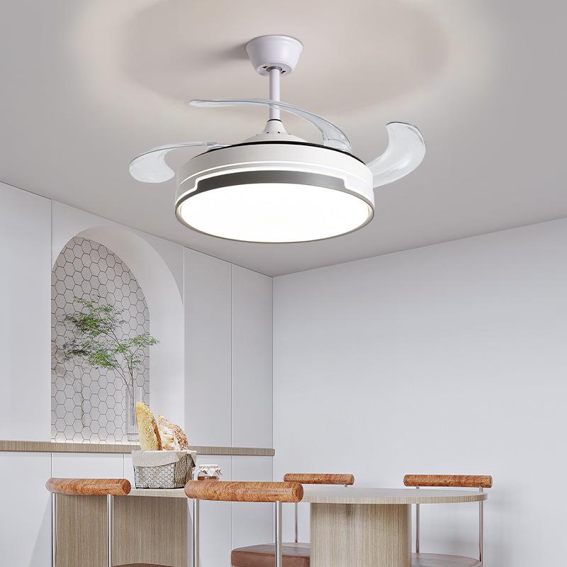 形风扇灯吊扇灯客厅餐隐卧室一无品牌/体ED风厅扇家用L简约现代带