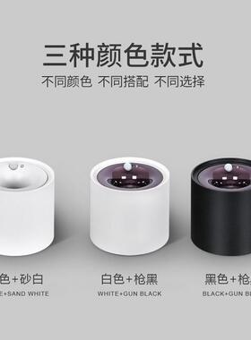 应灯体感应嵌入式天感花人入ZKX户灯门过道阳台玄关智能光控灯