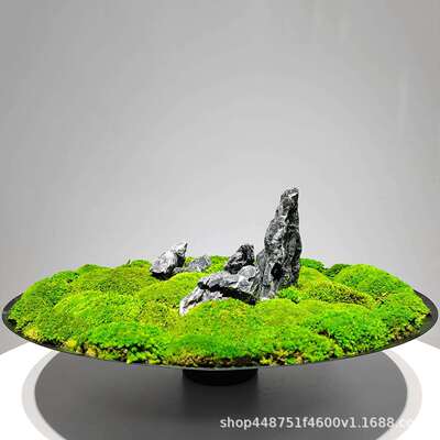 仿真植物造盆景假苔藓新RND中式桌面装饰绿植山板房室内景工艺摆